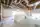 Totaalrenovatie van het All-Bouw kantoor in Roeselare