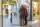 Marketeer (m/v)